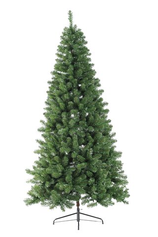 2.1m VIRGINIA SPRUCE - GREEN