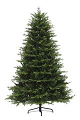 2.1m Northern Fir