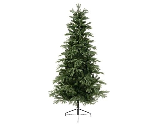 1.5m Sunndal fir - image 1